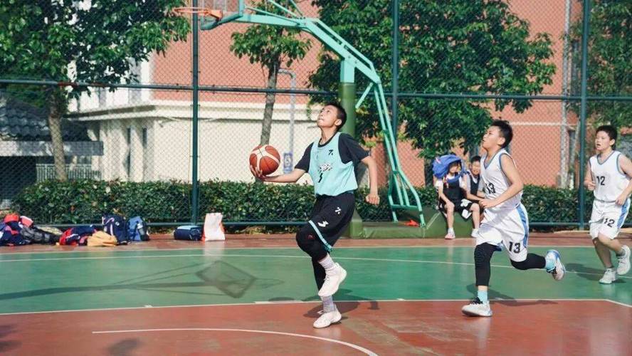 cba山东辽宁广东男篮消息 cba山东辽宁广东男篮消息