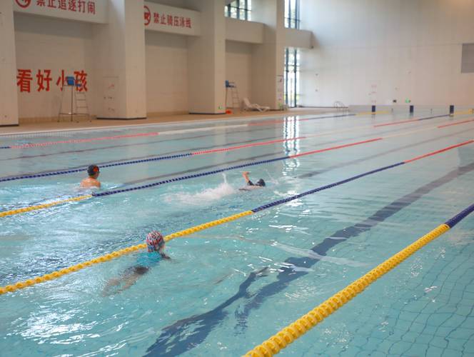 林丹的教练陈伟华简历 林丹的教练陈伟华简历