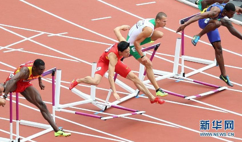 刘翔个人资料 刘翔个人资料