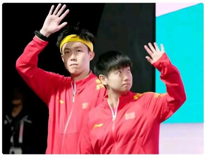 魏德米勒端子选型手册