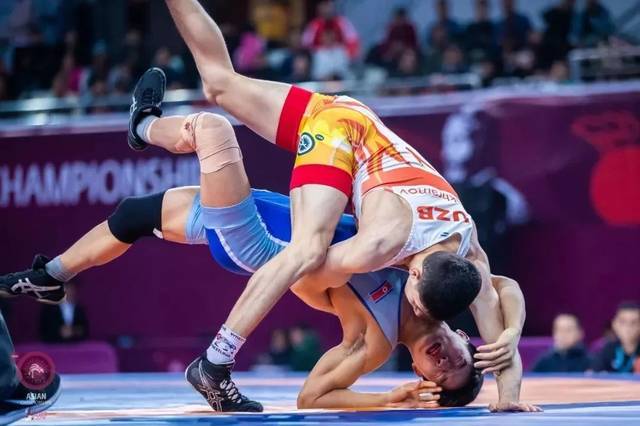 尼克斯队决策罗斯球队选项遭拒 罗斯未来走向 尼克斯队决策罗斯球队选项遭拒 罗斯未来走向