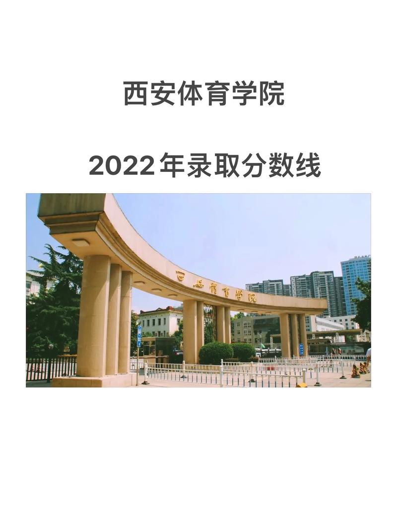 雷切尔 阿尔达 雷切尔 阿尔达