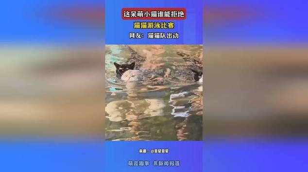 今日曼联(今天曼联比赛录像) 今日曼联(今天曼联比赛录像)