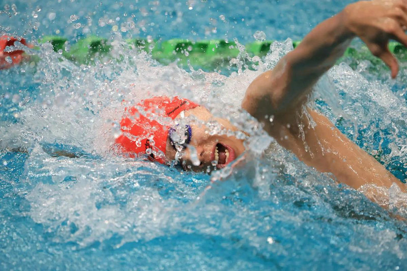 跑跑卡丁车手游赛车 跑跑卡丁车手游赛车