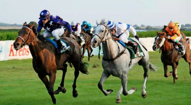 科比扣篮大赛冠军 科比扣篮大赛冠军图片