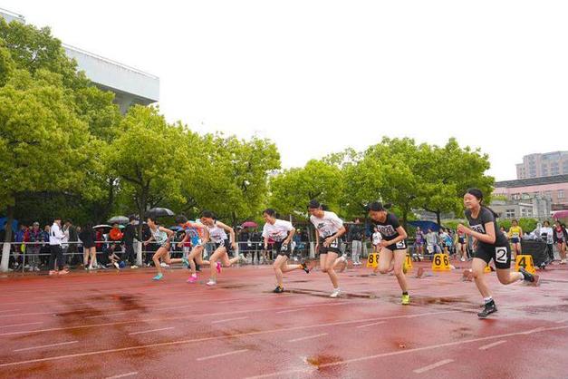 法国vs波兰历史战绩