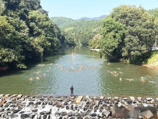 里约奥运会开幕式中国队入场 里约奥运会开幕式中国队入场