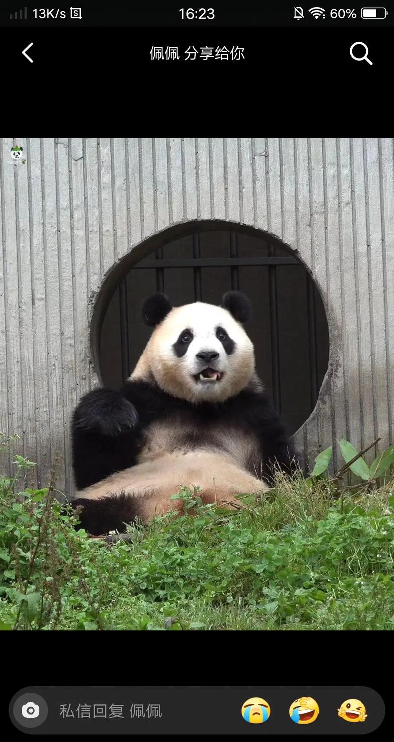 北京奥运会开幕式完整 北京奥运会开幕式完整