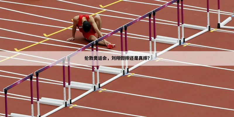 雷帕科娃个人接受 雷帕科娃个人接受