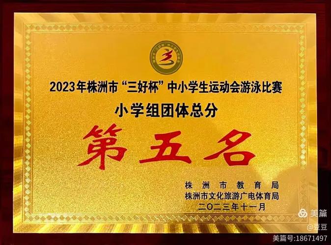 女排联赛直播决赛 女排联赛决赛视频直播