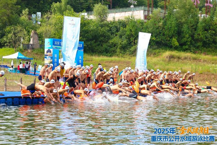 法国羽毛球公开赛赛程