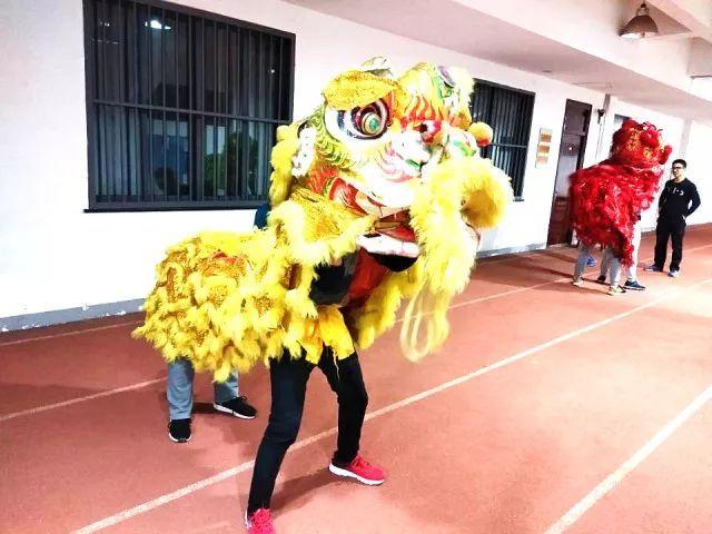 日本j1联赛比分ds