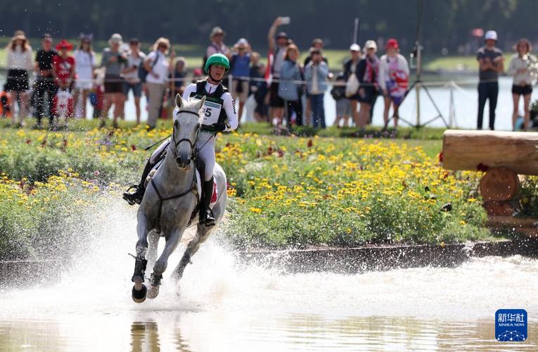 丁俊晖和特鲁姆普比赛视频 丁俊晖和特鲁姆普比赛视频