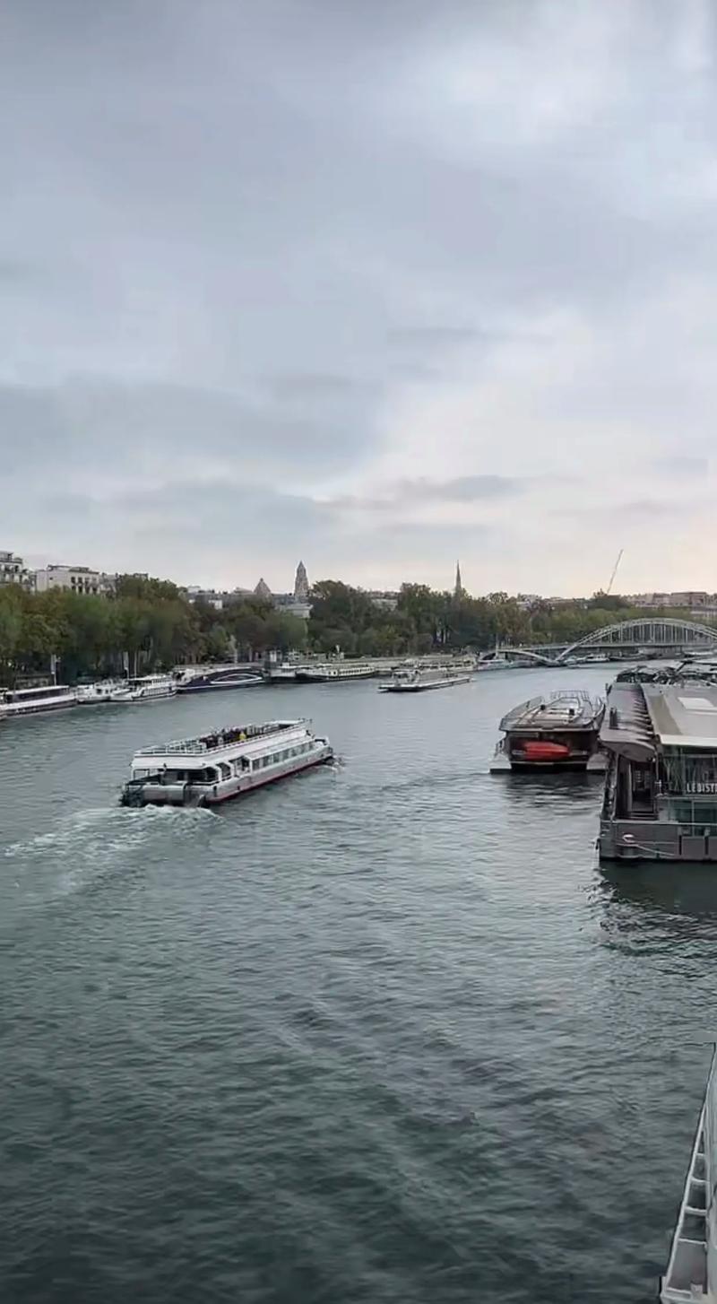 沃尔夫斯堡对多特蒙德比分