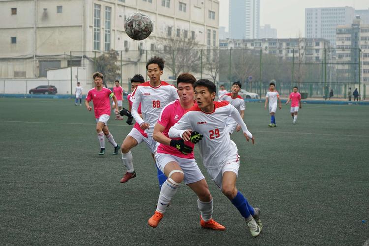 马拉多纳的女婿 马拉多纳大女儿丈夫 马拉多纳的女婿 马拉多纳大女儿丈夫