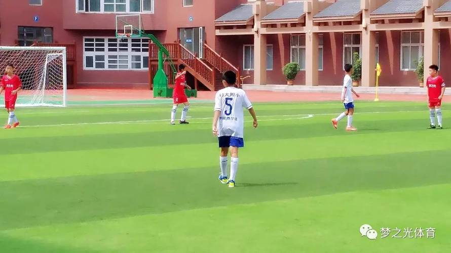 东京奥运会羽毛球混双半决赛 东京奥运会羽毛球混双半决赛