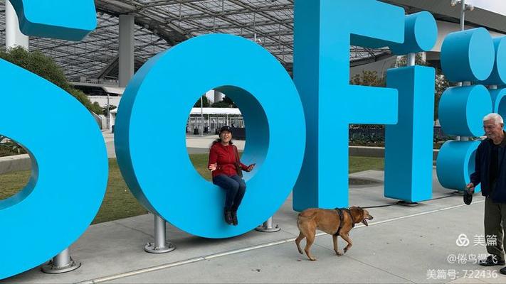 纽卡斯尔vs莱切斯特比分预测