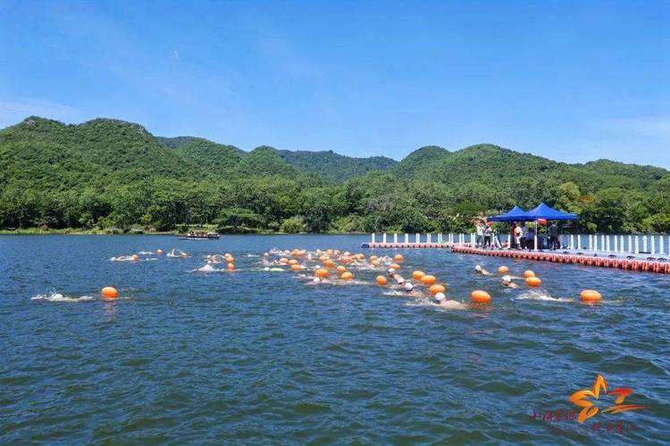 墨西哥vs卡塔尔比分预测