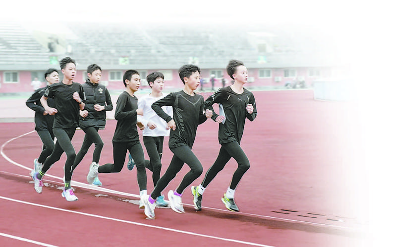 斯图加特vs莱红牛比分预测 斯图加特vs莱红牛比分预测