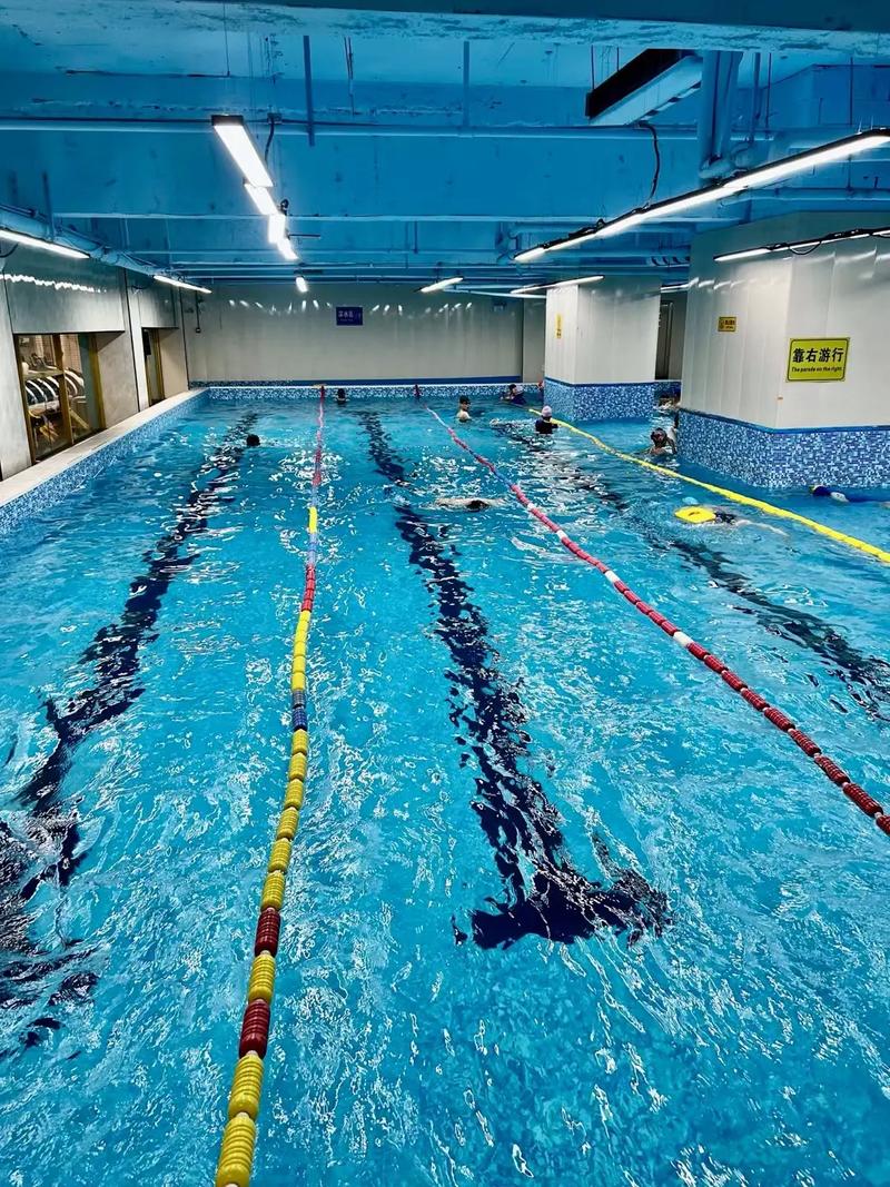 正规篮球场标准尺寸图