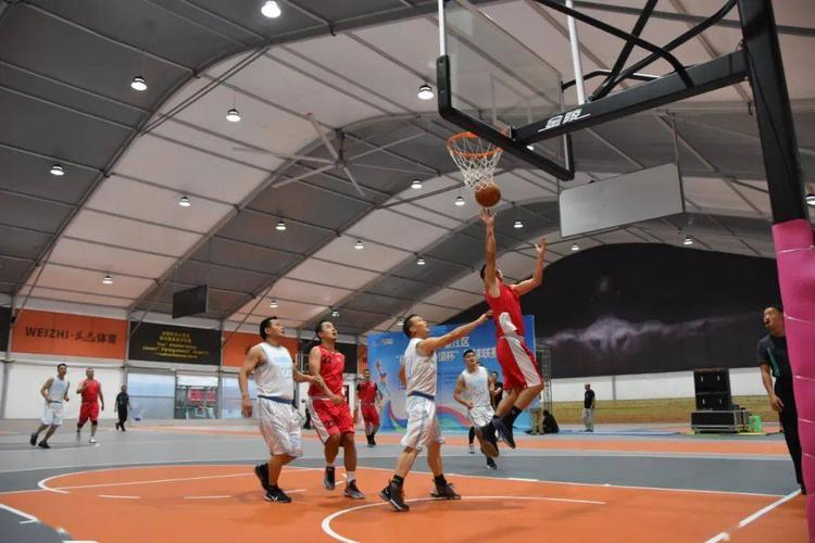 2009羽毛球世锦赛男单决赛