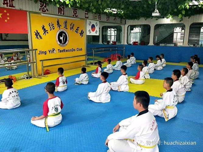 巅峰张怡宁打得过马龙吗 巅峰张怡宁打得过马龙吗