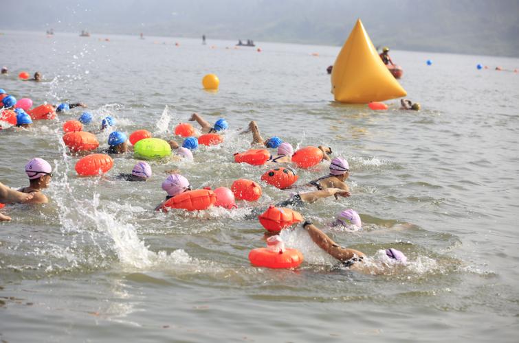 拜仁vs勒沃库森比分预测