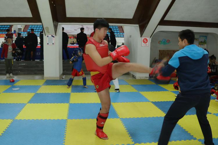 法国vs芬兰 法国vs芬兰比分预测