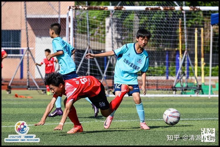 哈马德哈达迪哈马德哈达迪灰熊 哈马德哈达迪哈马德哈达迪灰熊