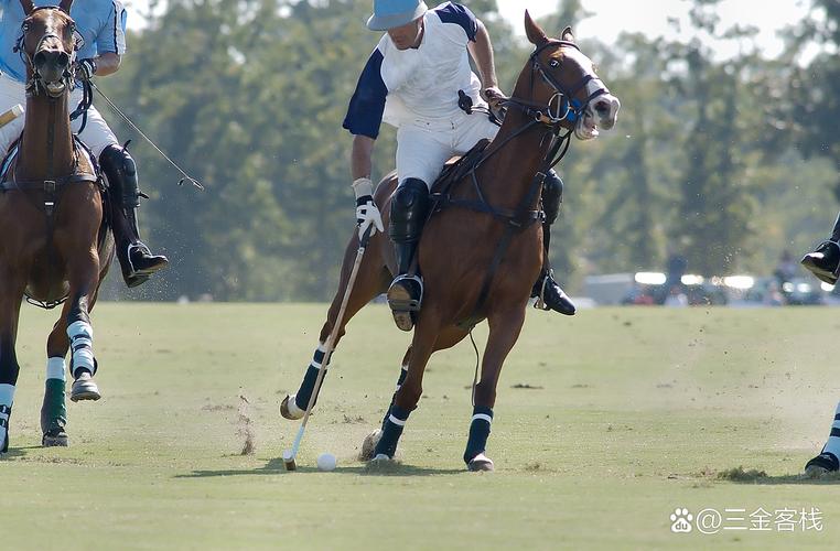 梅西世界杯领奖视频 梅西世界杯领奖视频早安隆回
