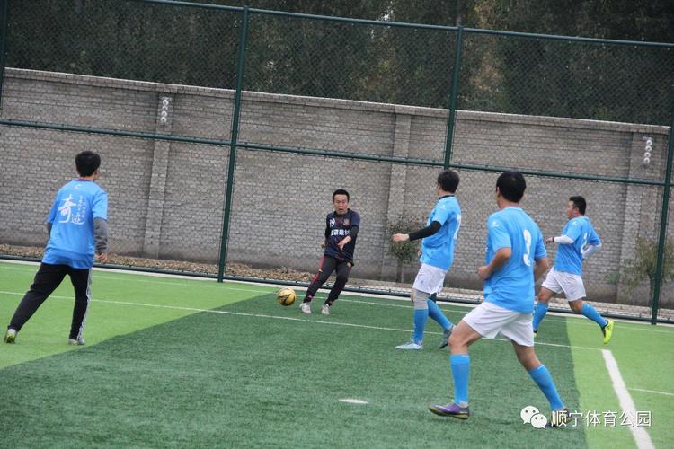 运动员退役后的生活