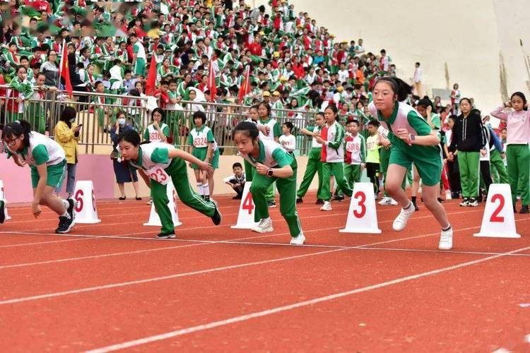 世乒赛决赛一边倒 世乒赛决赛一边倒