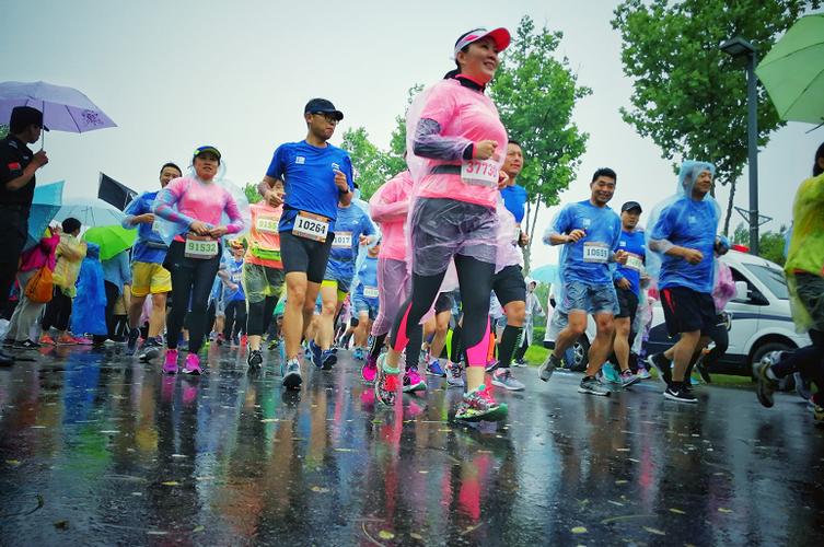 国王困境 骑牛难题如何应对