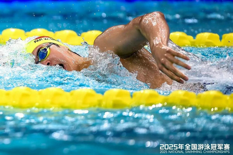 2025年世界杯总决赛比分