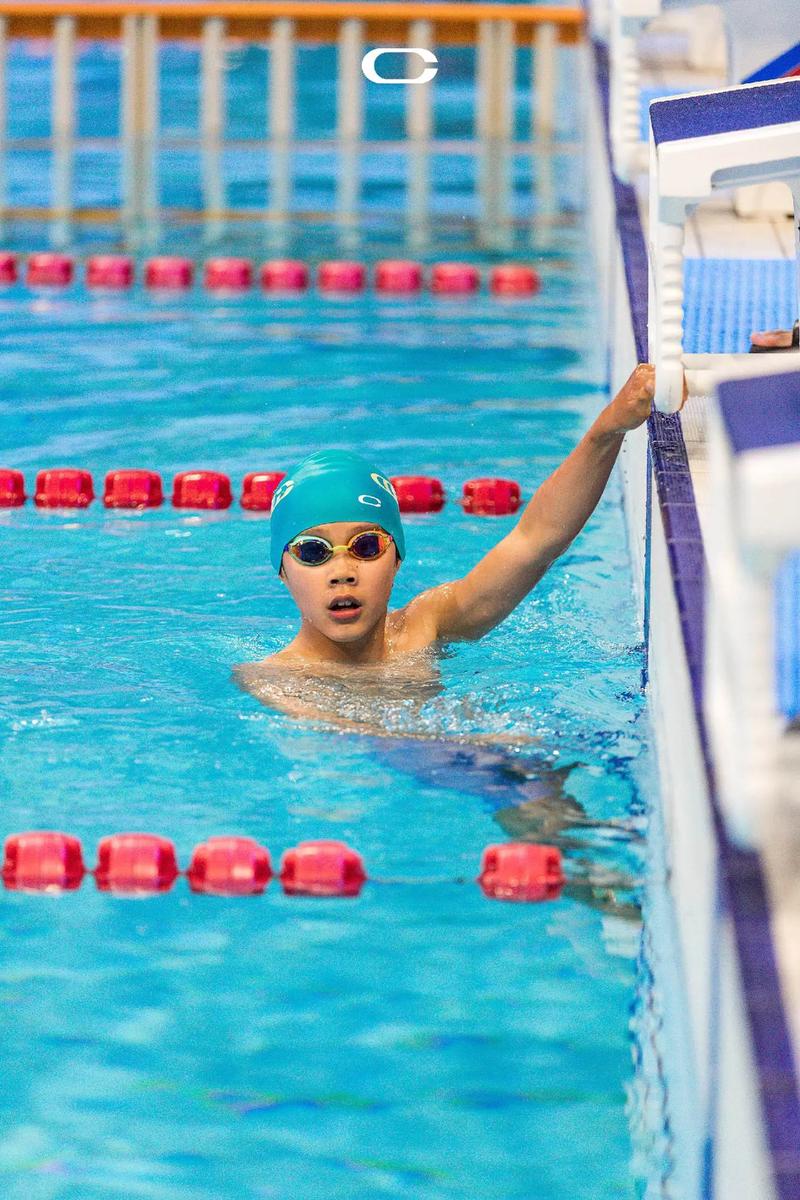 山东卫视在线观看免费