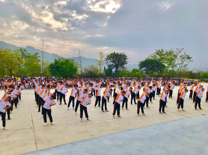 乒乓球教学视频免费(初学乒乓球基本动作视频教程) 乒乓球教学视频免费(初学乒乓球基本动作视频教程)