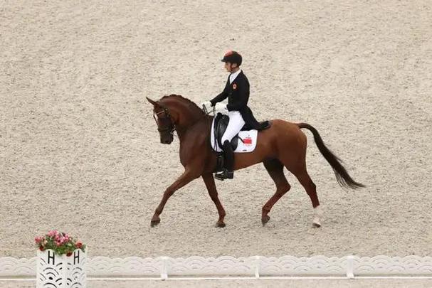 独自上场免费阅读 独自上场免费阅读