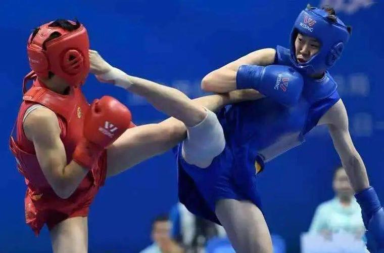 蝴蝶牌乒乓球运动服新款 蝴蝶牌乒乓球运动服新款